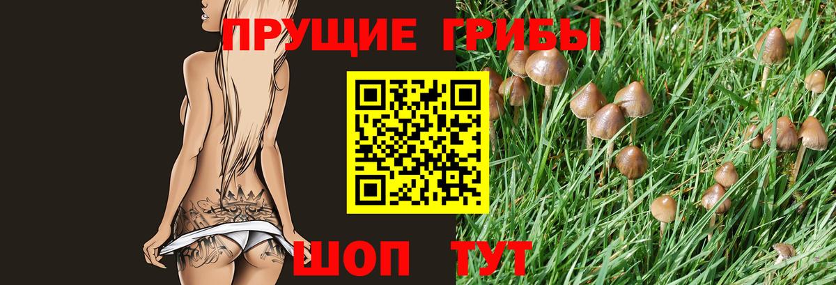 Истра  купить  сайты  Вход с VPN  Псилоцибиновые грибы MAGIC MUSHROOMS 